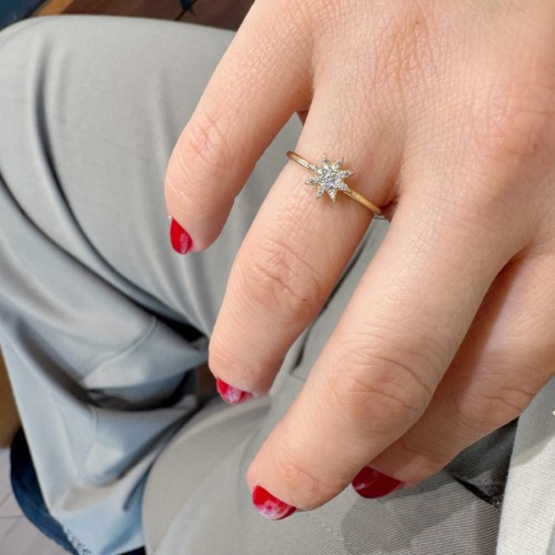 14 Carat Gold Small Pole Star Ring with Stone - CNG Jewels (1)