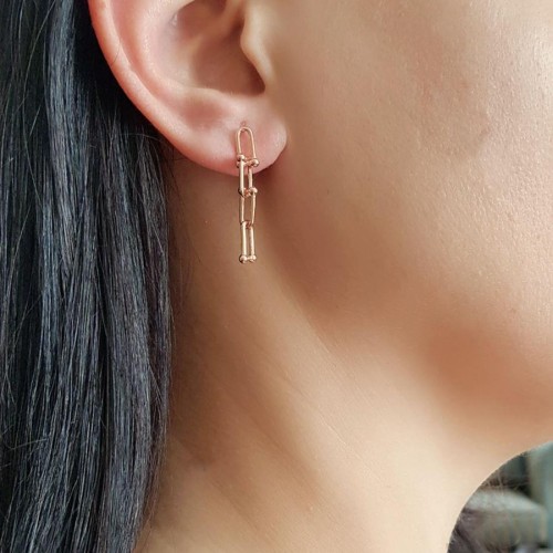 Ataş Halkalı Kalın Zincir Rose Gümüş Kadın Küpe - 1