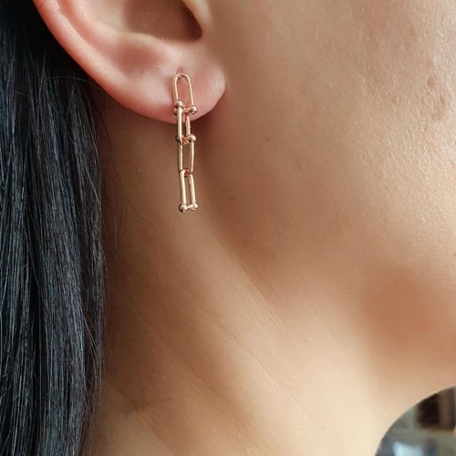 Ataş Halkalı Kalın Zincir Rose Gümüş Kadın Küpe - 2