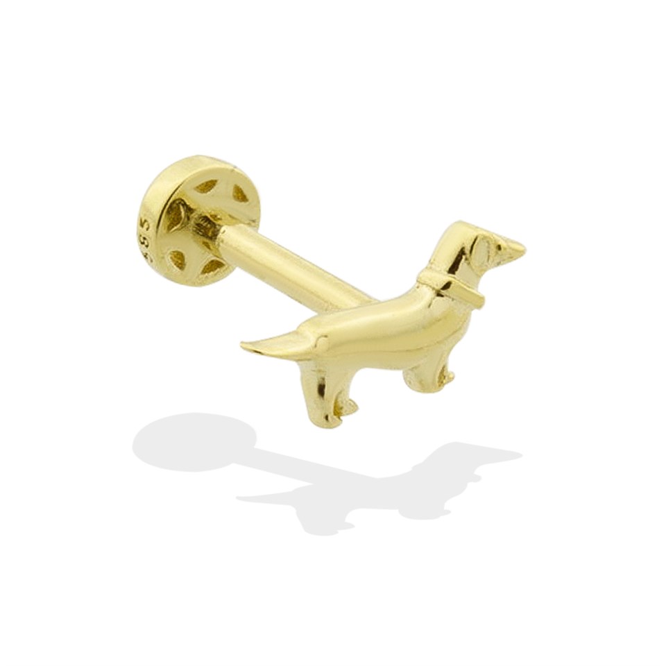 Köpek Altın Tragus Piercing - CNG Jewels