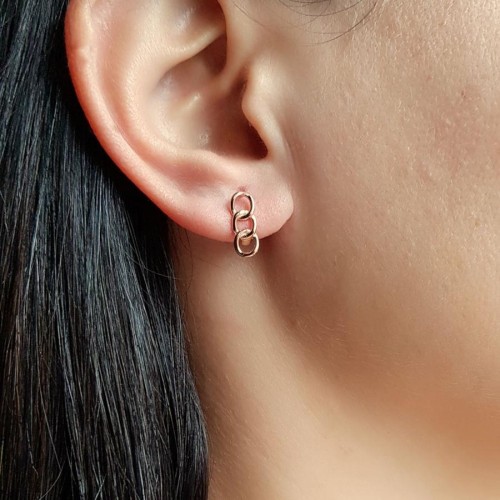 Küçük Gurmet Rose Kadın Gümüş Küpe - 1