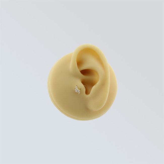 Markiz Taşlı Yaprak Altın Tragus Piercing - 2
