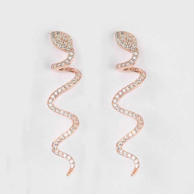 Snake Rose Silver Women's Earrings with Stones - 2