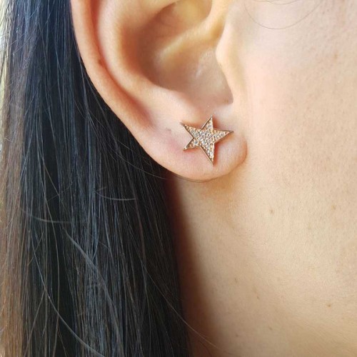 CNG Jewels - Taşlı Yıldız Gümüş Küpe